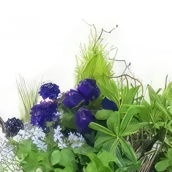 Pau-virágok- Lila és kék növények összetétele Naturae Virágkötészeti csokor