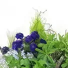 Paříž květiny- Složení fialových a modrých rostlin Naturae Kytice/aranžování květin