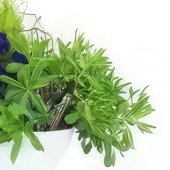리옹 꽃- 보라색 & 파란색 식물의 구성 자연 꽃다발/꽃꽂이