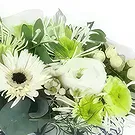 Le François flowers  -  Composition of white flowers Dallas Flower Bouquet/Arrangement