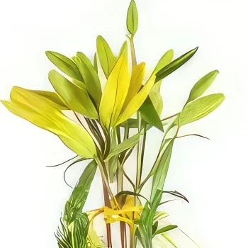 Montpellier-virágok- Sárga virágok összetétele Liliom álom Virágkötészeti csokor