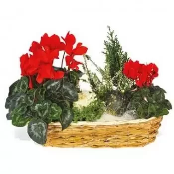 Lyon flowers  -  Composition of green plants & flowers Etincel Delivery