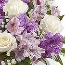 Garhoud flowers  -  Countless Attractions Flower Bouquet/Arrangement