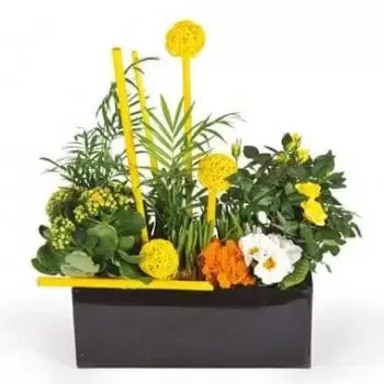 flores Ablaincourt-Pressoir floristeria -  Planta cortada Le Jardin d'Abel Ramos de  con entrega a domicilio