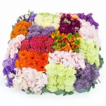 Toulouse kwiaty- Kolorowa Kwadratowa Poduszka W Kratkę Herakli