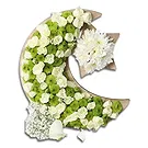 Garhoud flowers  -  Green Arrangement Flower Bouquet/Arrangement