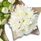 Garhoud flowers  -  Green Arrangement Flower Bouquet/Arrangement
