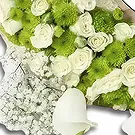 Garhoud flowers  -  Green Arrangement Flower Bouquet/Arrangement
