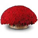 Ghadeer al tair flowers  -  Cuddly Love Flower Bouquet/Arrangement