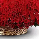 Ghadeer al tair flowers  -  Cuddly Love Flower Bouquet/Arrangement