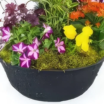 flores Lille floristeria -  Taza de coloridas plantas Gaudium Ramo de flores/arreglo floral