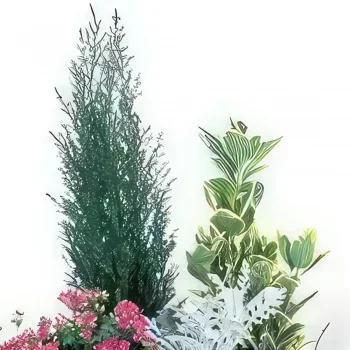 Lille blomster- Beger med grønne planter og blomster Farvel E Blomsterarrangementer bukett