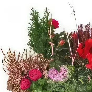 بائع زهور مونبلييه- كوب من مورفي النباتات الخضراء والحمراء باقة الزهور