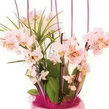 Bordeaux bloemen bloemist- Kopje mini Sweety Orchids Boeket/bloemstuk