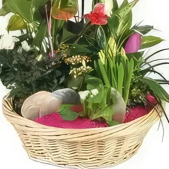 リヨン 花- 一杯の植物フラワーパレス 花束/フラワーアレンジメント