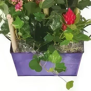 fleuriste fleurs de Toulouse- Coupe de plantes Le Jardin d'Italie Bouquet/Arrangement floral