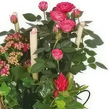 Нант цветя- Чаша с растения The Jardin d'Italie Букет/договореност цвете
