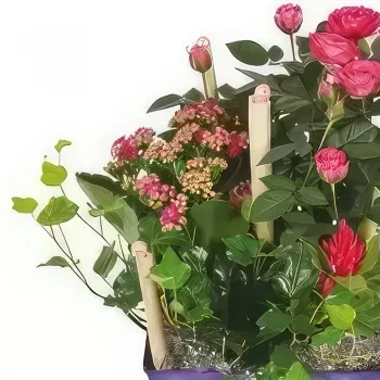fiorista fiori di Strasburgo- Coppa di piante Il Jardin d'Italie Bouquet floreale