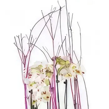 Nantes rože- Skodelica belih orhidej Comtesse de Ségur Cvet šopek/dogovor