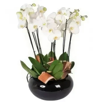flores Montpellier floristeria -  Taza de carro de orquídeas blancas Ramo de flores/arreglo floral