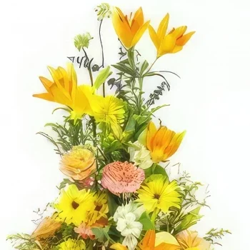 flores de Pau- Almofada em altura amarelo e laranja Apollon Bouquet/arranjo de flor