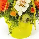 Case-Pilote Blumen Florist- Süße runde Komposition Bouquet/Blumenschmuck