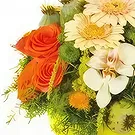 Case-Pilote Blumen Florist- Süße runde Komposition Bouquet/Blumenschmuck