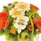 Case-Pilote Blumen Florist- Süße runde Komposition Bouquet/Blumenschmuck