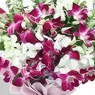 Downtown dubai flowers  -  Cutie Pie Orchids Flower Bouquet/Arrangement