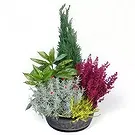 fiorista fiori di Laval- Taglio di piante verdi da esterno Bouquet floreale