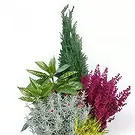 fiorista fiori di Laval- Taglio di piante verdi da esterno Bouquet floreale