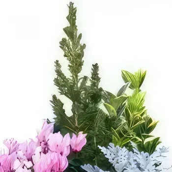 Λιλ λουλούδια- Κοπή φυτών εξωτερικού χώρου Μπουκέτο/ρύθμιση λουλουδιών