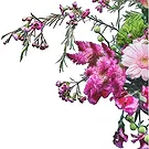 Vanlose flowers  -  Royal Choice Flower Bouquet/Arrangement