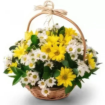 Fortaleza flowers  -  Two-color Daisy Basket Flower Bouquet/Arrangement