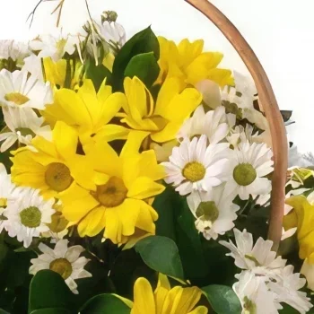 Σαλβαντόρ λουλούδια- Καλάθι μαργαρίτας δύο χρωμάτων Μπουκέτο/ρύθμιση λουλουδιών