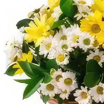 Fortaleza flowers  -  Two-color Daisy Basket Flower Bouquet/Arrangement