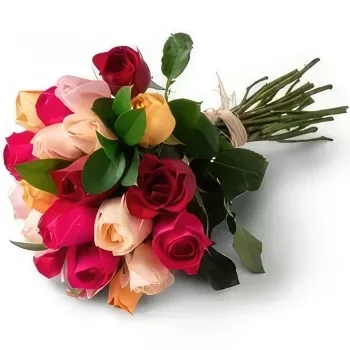 Belém kvety- Kytica 24 farebných ruží Aranžovanie kytice