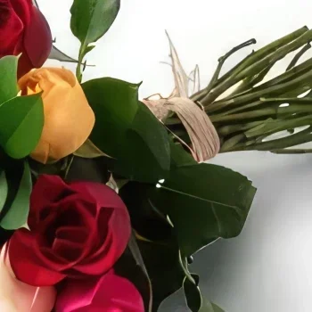 Belém blomster- Bukett med 24 fargerike roser Blomsterarrangementer bukett