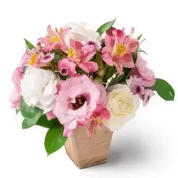 サンパウロ 花- カーネーション、バラ、アストロネリアのアレンジメント 花束/フラワーアレンジメント