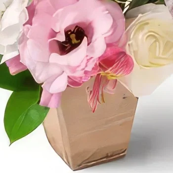 벨루 오리 존치 꽃- 카네이션, 장미, 아스트로멜리아의 배열 꽃다발/꽃꽂이