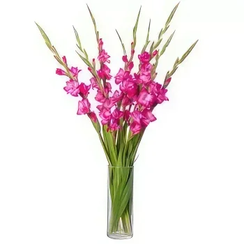 瓜纳博 花- 粉红色的夏天爱 花的花束安排