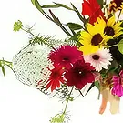 Ouled Maaref flowers  -  Like a summer air Flower Bouquet/Arrangement