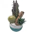 Spain flowers  -  Decorative Pot Flower Bouquet/Arrangement