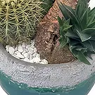 Spain flowers  -  Decorative Pot Flower Bouquet/Arrangement