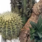 Spain flowers  -  Decorative Pot Flower Bouquet/Arrangement