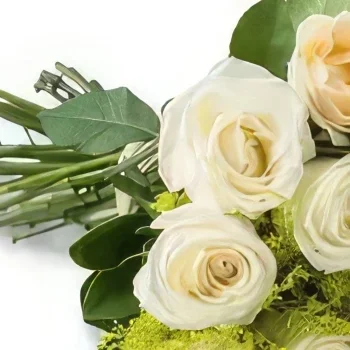 サンパウロ 花- 19本の白いバラの花束 花束/フラワーアレンジメント