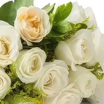 サンパウロ 花- 19本の白いバラの花束 花束/フラワーアレンジメント