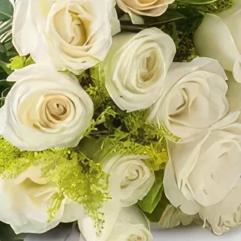 Belém blomster- Bouquet af 19 hvide roser Blomst buket/Arrangement