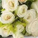 Chile flowers  -  Bouquet of 19 White Roses Flower Bouquet/Arrangement