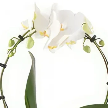 flores de Stuttgart- Decoração delicada Bouquet/arranjo de flor